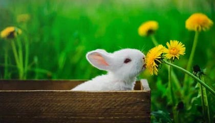 必一运动网页版——开启你的全新运动体验